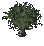ErvaFumo.png