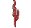 Coelho.png