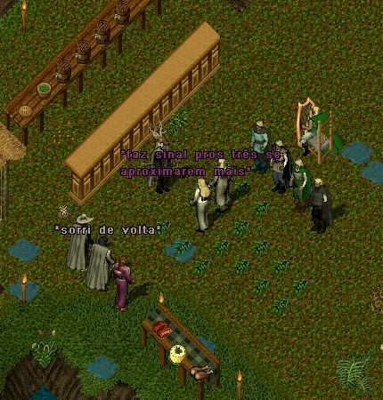 O Tapete de Flores