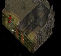 Guilda2.jpg